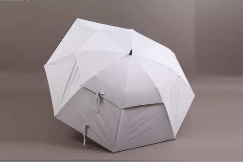 parasol3